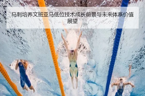 马刺培养文班亚马低位技术成长前景与未来体系价值展望