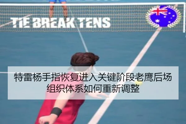 特雷杨手指恢复进入关键阶段老鹰后场组织体系如何重新调整