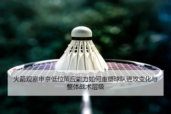 火箭观察申京低位策应能力如何重塑球队进攻变化与整体战术层级